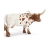 Vache Texan Longhorn
