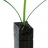 Vase Tévâ
