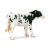 Veau Holstein