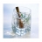 verrine ska 7 cl REVOL