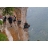 Via Ferrata et parcours dans les arbres