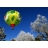 Vol en montgolfiere - Dordogne