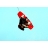 Wakeboard Languedoc