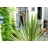 <a title='idée de we saint-valentin' href='http://www.familyby.com/boutiques/detailCategorie/4228' style='text-decoration:none; color:#333'><strong>week-end</strong></a> bien-etre - Sables-d Olonne