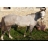 <a title='idée de we saint-valentin' href='http://www.familyby.com/boutiques/detailCategorie/4228' style='text-decoration:none; color:#333'><strong>week-end</strong></a> Domaine de Villemagne