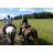 <a title='idée de we saint-valentin' href='http://www.familyby.com/boutiques/detailCategorie/4228' style='text-decoration:none; color:#333'><strong>week-end</strong></a> Equestre Auvergne