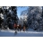 <a title='idée de we saint-valentin' href='http://www.familyby.com/boutiques/detailCategorie/4228' style='text-decoration:none; color:#333'><strong>week-end</strong></a> équestre hivernal Jura