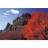 Yanoman <a title='En savoir plus sur les puzzles' href='http://weezoom.tumblr.com/post/12566332776/puzzle-1000-pieces' style='text-decoration:none; color:#333' target='_blank'><strong>Puzzle</strong></a> 1500 pièces - Japon : Les couleurs de l'automne