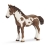 Yearling Pinto