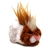 Zhu Zhu Pets Cheveux Longs Génération 1 Pax
