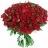 101 roses rouges
