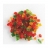 Aldis Cubes de fruits tricolores 6mm 1kg