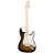 American Special Stratocaster