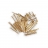 Artesania Maquette en bois - Clous 10 mm