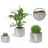 Bac à plantes cube inox 50 cm