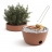 Barbecue pot de<a title='bouquet de fleurs pour la saint-valentin' href='http://www.familyby.com/boutiques/detailCategorie/4211' style='text-decoration:none; color:#333'><strong> fleurs</strong></a> Hot Pot BBQ
