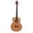 Basse Electro Acoustique Lyna