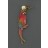 Boucle d'oreille Perroquet PEAU D'ANE