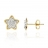 Boucles d'oreilles étoile or et oxydes