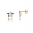 Boucles d'oreilles Or et Oxydes
