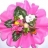 Bouquet de <a title='Offrir du chocolat à la saint-valentin' href='http://www.familyby.com/boutiques/detailCategorie/4222' style='text-decoration:none; color:#333'><strong>chocolat</strong></a> Bouquet cyclamen