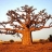 <a title='auriez-vous une idée cadeau pour la Saint-valentin ?' href='http://www.familyby.com/boutiques/index/7' style='text-decoration:none; color:#333'><strong>Cadeau</strong></a> solidaire : planter un arbre Baobab