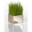 Carré de verdure Mini Green Gold