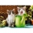 Castorland Puzzle 1000 pièces - Petits gardiens