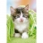 Castorland Puzzle 260 pièces - Chaton sous la couverture