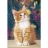 Castorland Puzzle 260 pièces - Le chat et le papillon
