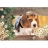 Castorland Puzzle 500 pièces - Chien de garde