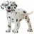 CHIOT DALMATIEN