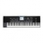 Clavier Arrangeur PA3X 61 Touches