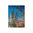 Clementoni <a title='En savoir plus sur les puzzles' href='http://weezoom.tumblr.com/post/12566332776/puzzle-1000-pieces' style='text-decoration:none; color:#333' target='_blank'><strong>Puzzle</strong></a> 1000 pièces - Sagrada Familia, Barcelone