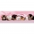 Clementoni Puzzle 1000 pièces panoramique - Petits chats alignés
