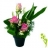 Composition<a title='bouquet de fleurs pour la saint-valentin' href='http://www.familyby.com/boutiques/detailCategorie/4211' style='text-decoration:none; color:#333'><strong> fleurs</strong></a> 1er mai Composition Muguet & Roses roses