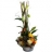 Composition<a title='bouquet de fleurs pour la saint-valentin' href='http://www.familyby.com/boutiques/detailCategorie/4211' style='text-decoration:none; color:#333'><strong> fleurs</strong></a> Composition Délice de<a title='bouquet de fleurs pour la saint-valentin' href='http://www.familyby.com/boutiques/detailCategorie/4211' style='text-decoration:none; color:#333'><strong> fleurs</strong></a>