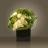 Créateurs de<a title='bouquet de fleurs pour la saint-valentin' href='http://www.familyby.com/boutiques/detailCategorie/4211' style='text-decoration:none; color:#333'><strong> fleurs</strong></a> paris Bouquet Sweet Bandit