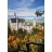 DToys <a title='En savoir plus sur les puzzles' href='http://weezoom.tumblr.com/post/12566332776/puzzle-1000-pieces' style='text-decoration:none; color:#333' target='_blank'><strong>Puzzle</strong></a> 1000 pièces - Paysages : Château de Neuschwanstein, Allemagne