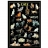 Editions Ricordi <a title='En savoir plus sur les puzzles' href='http://weezoom.tumblr.com/post/12566332776/puzzle-1000-pieces' style='text-decoration:none; color:#333' target='_blank'><strong>Puzzle</strong></a> 1000 pièces - Pêle mêle chats