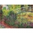 Editions Ricordi <a title='En savoir plus sur les puzzles' href='http://weezoom.tumblr.com/post/12566332776/puzzle-1000-pieces' style='text-decoration:none; color:#333' target='_blank'><strong>Puzzle</strong></a> 2000 pièces - Art - Monet : Le pont japonais