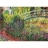 Editions Ricordi Puzzle 2000 pièces - Art - Monet : Le pont japonais