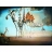 Editions Ricordi Puzzle 2000 pièces - Dali : La Tentation de Saint Antoine, 1946