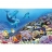 Educa <a title='En savoir plus sur les puzzles' href='http://weezoom.tumblr.com/post/12566332776/puzzle-1000-pieces' style='text-decoration:none; color:#333' target='_blank'><strong>Puzzle</strong></a> 1000 pièces - Compagnons de récif