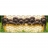 Educa <a title='En savoir plus sur les puzzles' href='http://weezoom.tumblr.com/post/12566332776/puzzle-1000-pieces' style='text-decoration:none; color:#333' target='_blank'><strong>Puzzle</strong></a> 1000 pièces panoramique - Les chiots