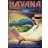 Educa <a title='En savoir plus sur les puzzles' href='http://weezoom.tumblr.com/post/12566332776/puzzle-1000-pieces' style='text-decoration:none; color:#333' target='_blank'><strong>Puzzle</strong></a> 1500 pièces - Pan-Am Havane