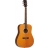 Evolution Dreadnought 28CLN