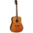 Evolution Dreadnought 28CSN