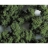 Faller Modélisme accessoires de décor - Végétation - Premium : Flocons grossiers vert clair : 290 ml