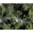 Faller Modélisme accessoires de décor - Végétation - Premium : Flocons grossiers vert olive : 290 ml
